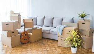 کارتن اسباب کشی