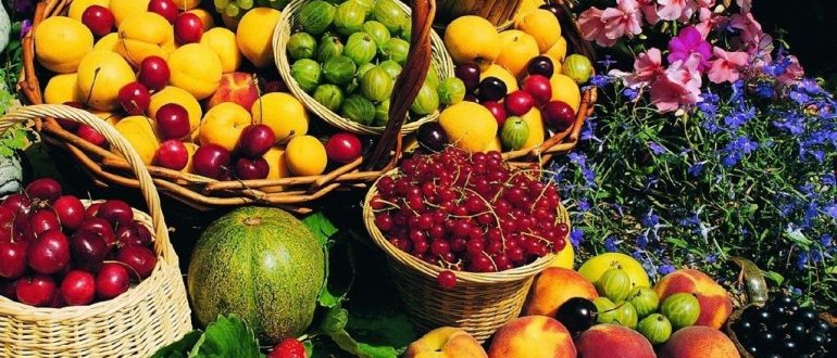 باربری و حمل میوه