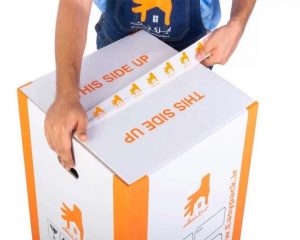 کارتن اسباب کشی