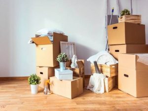 اسباب کشی در فصل پاییز