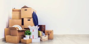 اسباب کشی در فصل پاییز