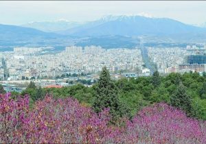 اتوبار و باربری مینی سیتی